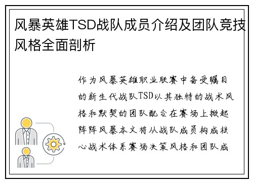 风暴英雄TSD战队成员介绍及团队竞技风格全面剖析